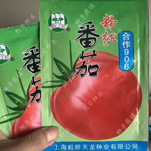 粉红番茄种籽合作906 908早熟自封顶苹果高圆西红柿春秋季蔬菜孑