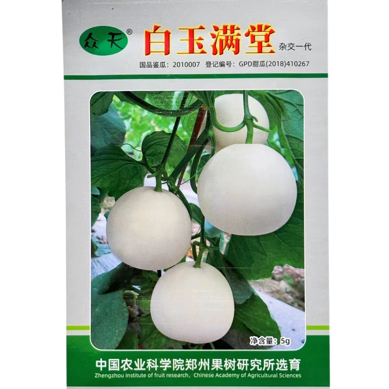 众天白玉满堂甜瓜种子白皮白肉白玉甜香瓜蜜瓜超甜耐裂香瓜种籽孑