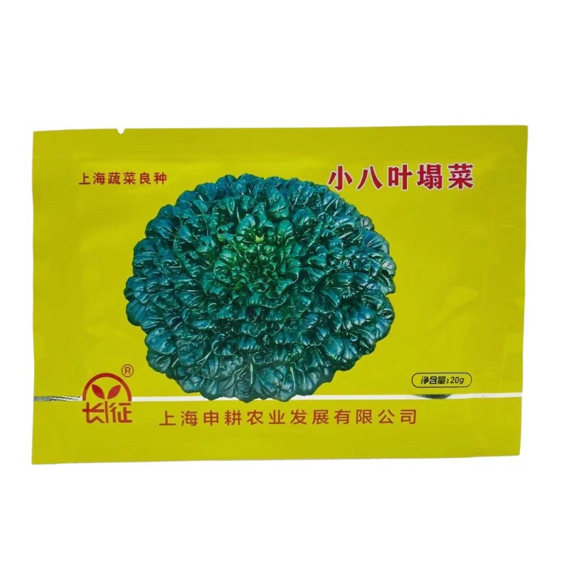绿领乌塔菜种籽 小八叶乌塌菜菜子 寒菜黑菜秋季越冬耐寒蔬莱种子