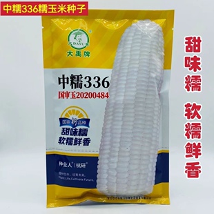 大禹牌中糯336白糯玉米种子鲜食软糯鲜香大棒玉米种籽春秋播高产