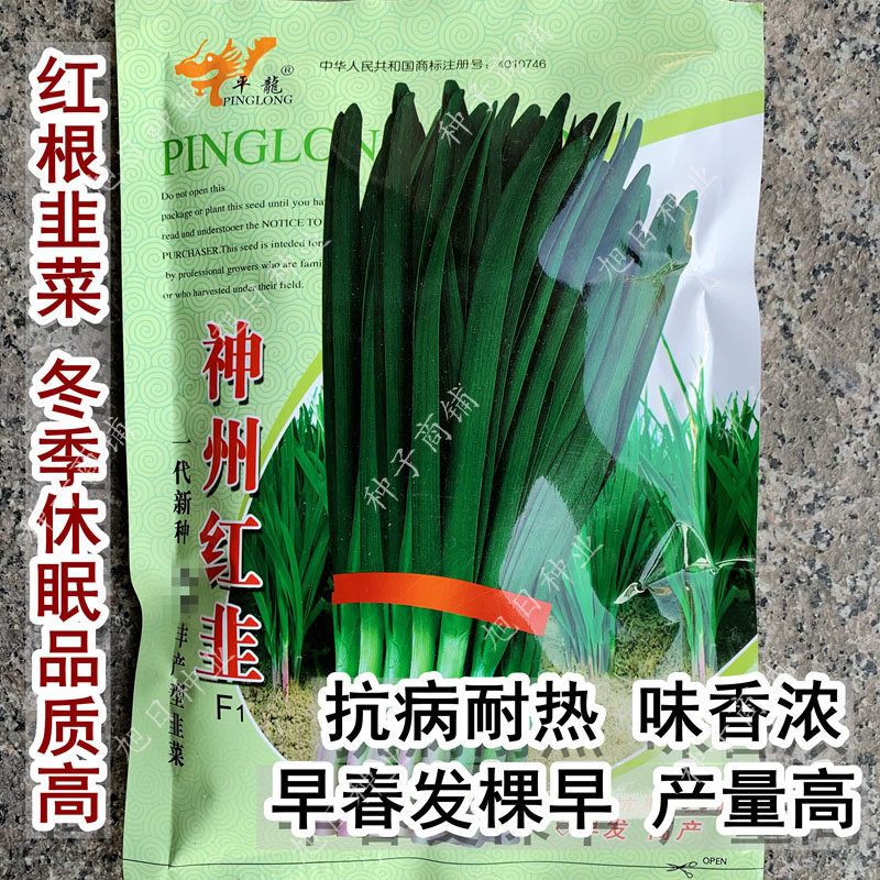 平龙神州红 红根韭菜种子高产耐寒韭菜种籽农家春秋四季蔬菜种孑