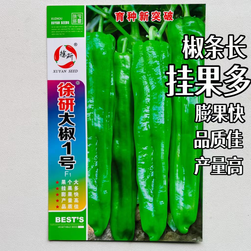 徐研辣椒粗大牛角椒皮薄肉厚高产