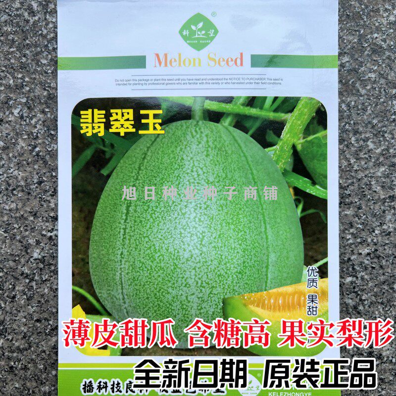 科乐春秋季绿皮甜瓜种子