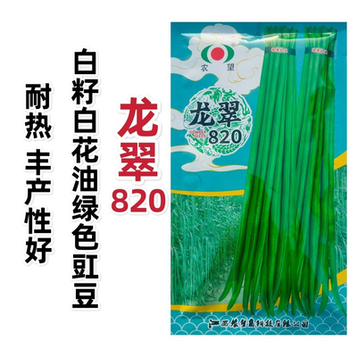 农望豆角种子龙翠820白籽白花豇豆种子油绿色基地高产长豆角种孑