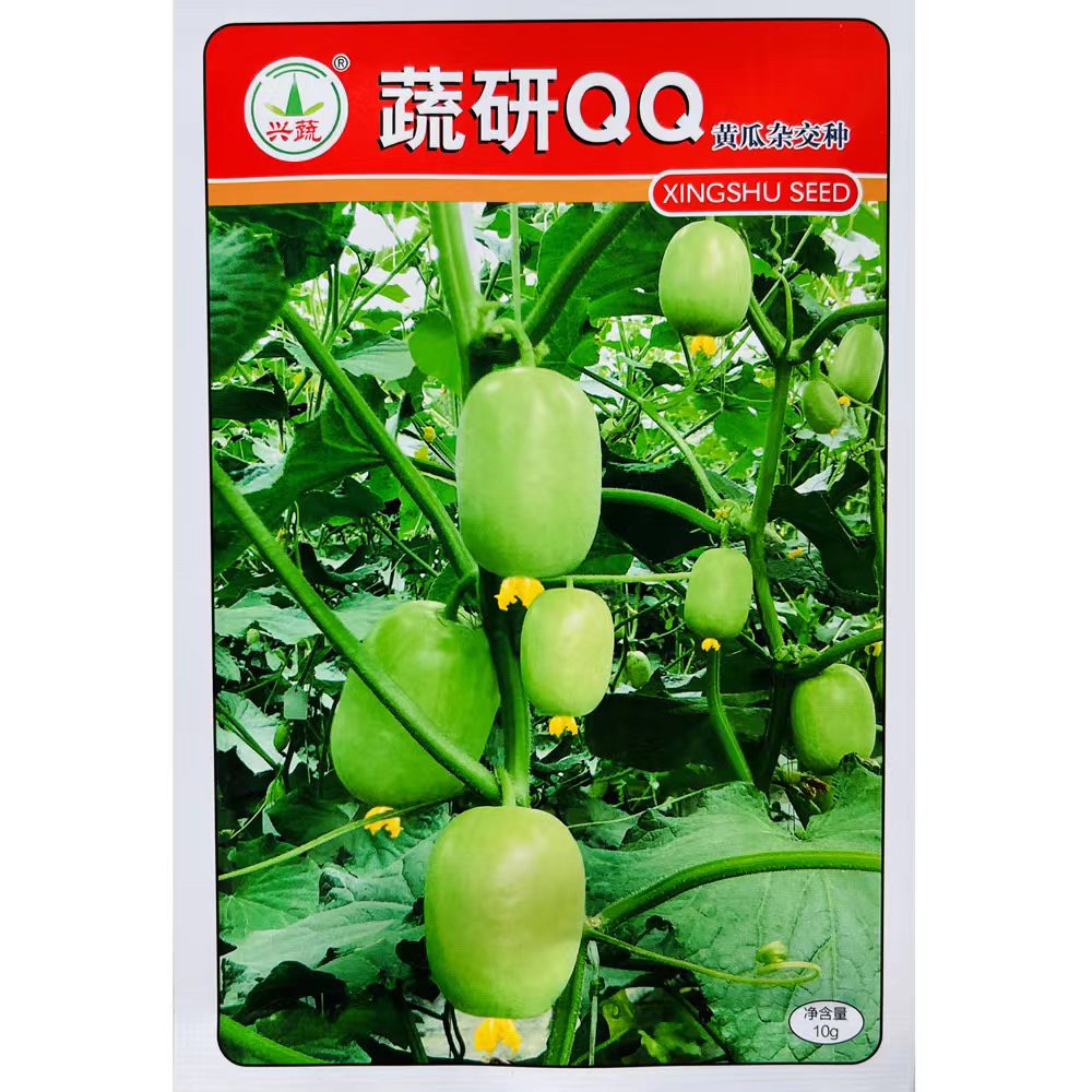 蔬研QQ水果小黄瓜种子光滑无刺迷你黄瓜拇指小黄瓜袖珍黄瓜种籽孑