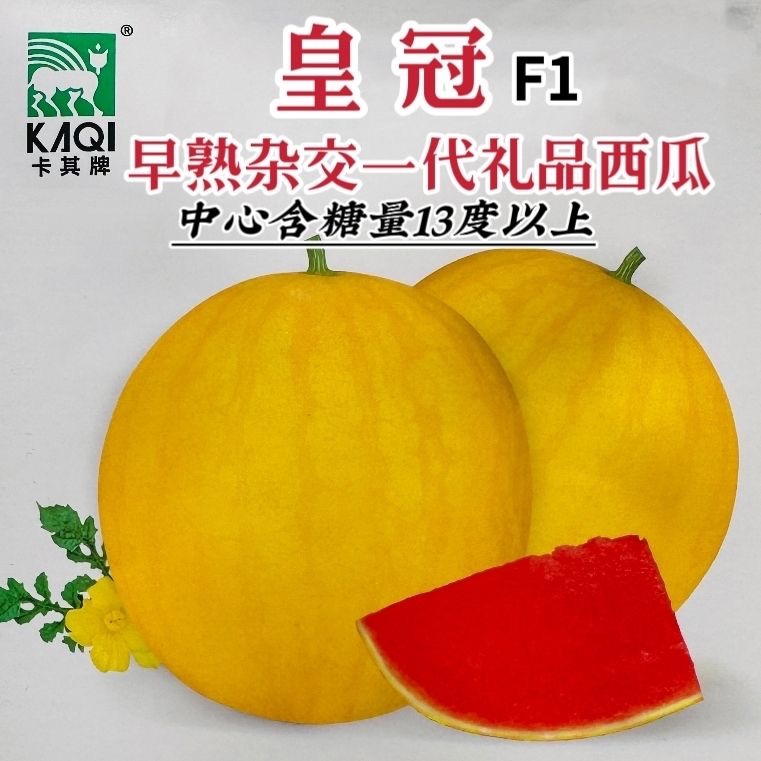 皇冠礼品西瓜种子早熟杂交一代圆形小西瓜糖度高黄皮红肉西瓜种籽
