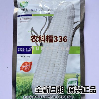 农科玉336白甜糯玉米种子