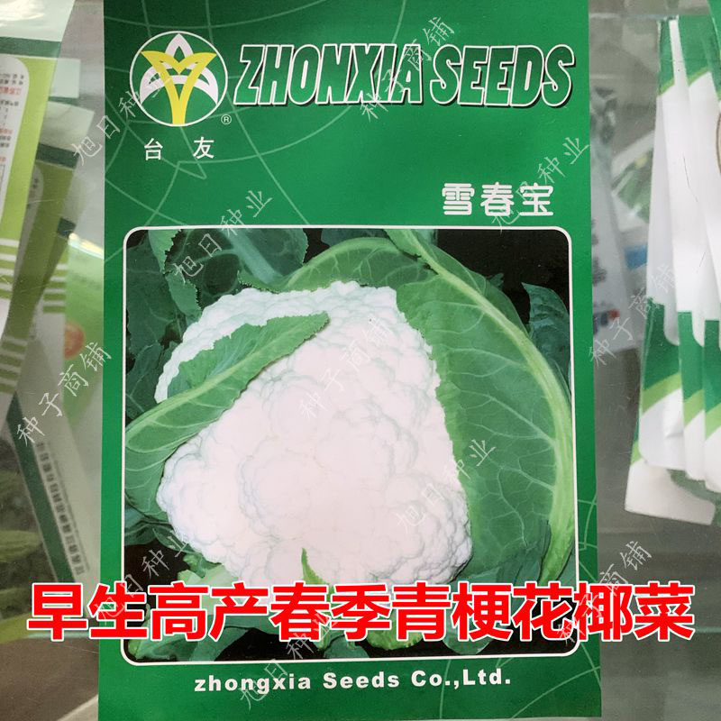雪春宝花椰菜种籽白花菜花菜优质春季花菜种子高产杂交种包邮