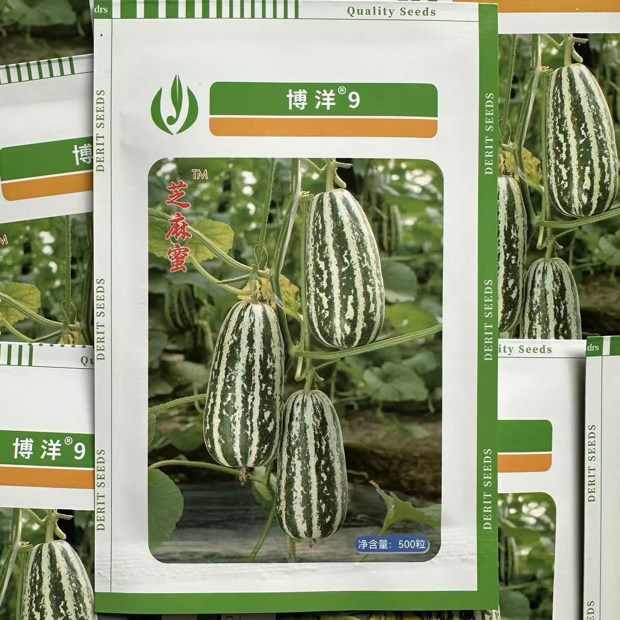 天津德瑞特正宗博洋9号薄皮甜瓜
