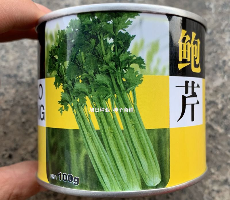 鮑芹种子 大本芹实心芹菜种籽 青翠青芹菜春秋四季蔬菜种籽孑包邮