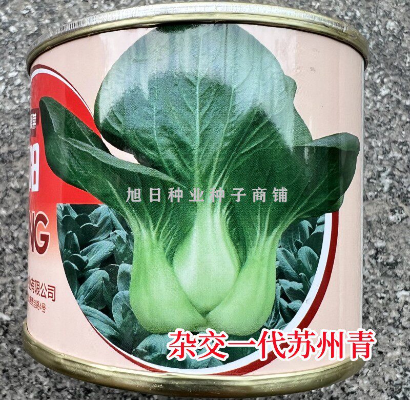 天丰秋冬耐寒苏州青一代杂交种