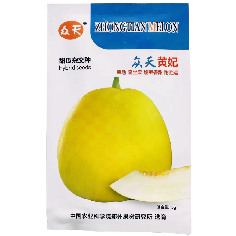 众天黄妃甜瓜种子 杂交黄皮甜瓜 薄皮厚肉香瓜清香脆甜水果种籽孑