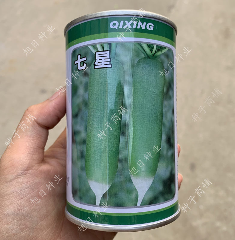天津科润七星绿瓤高产抗病萝卜