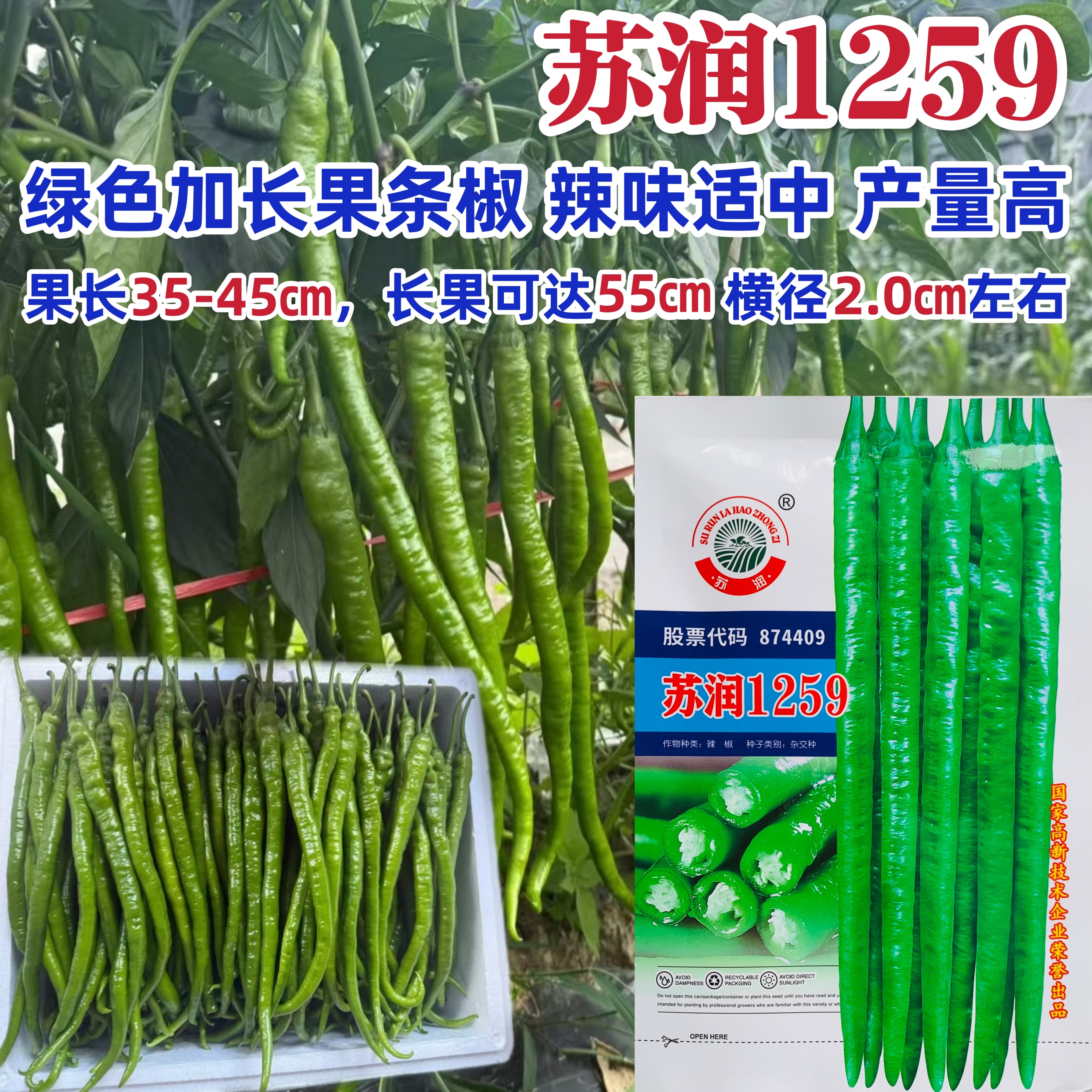 苏润1259辣椒种子中早熟高产顺直果肉厚抗病辣味中长线椒种籽孑