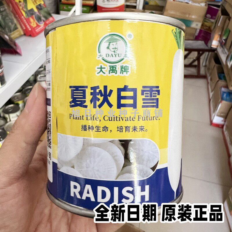白萝卜种子大禹夏秋白雪萝卜