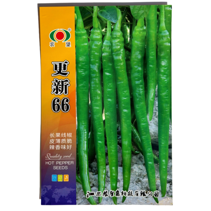 更新66辣椒种子红椒特长高产抗病薄皮香辣二荆条线椒大棚蔬菜种籽