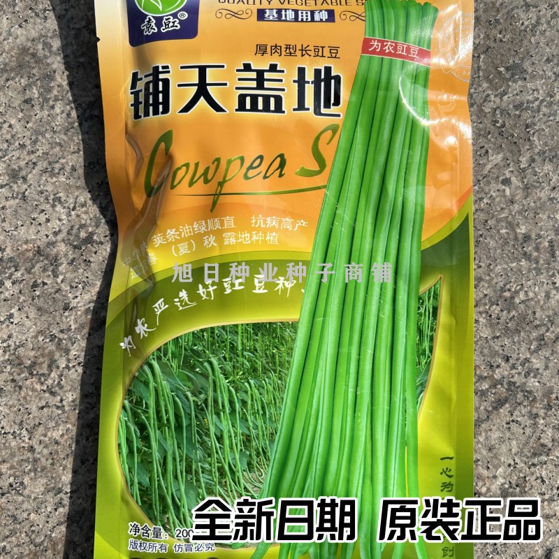 袁豇春秋栽培高产耐热豆角种籽