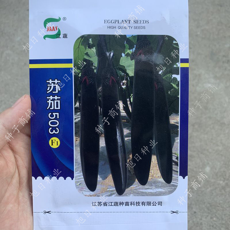 江蔬杂交春秋顺直黑紫长茄子种籽