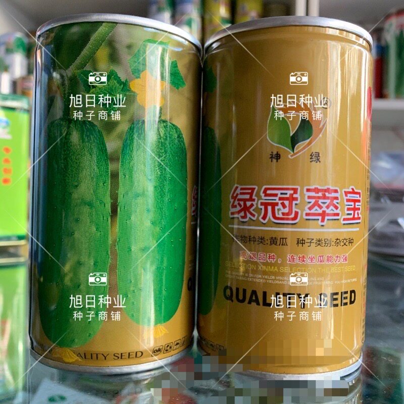 黄瓜种子新津优1号 油亮王青皮绿瓤水果阳台盆栽春秋四季蔬菜种子