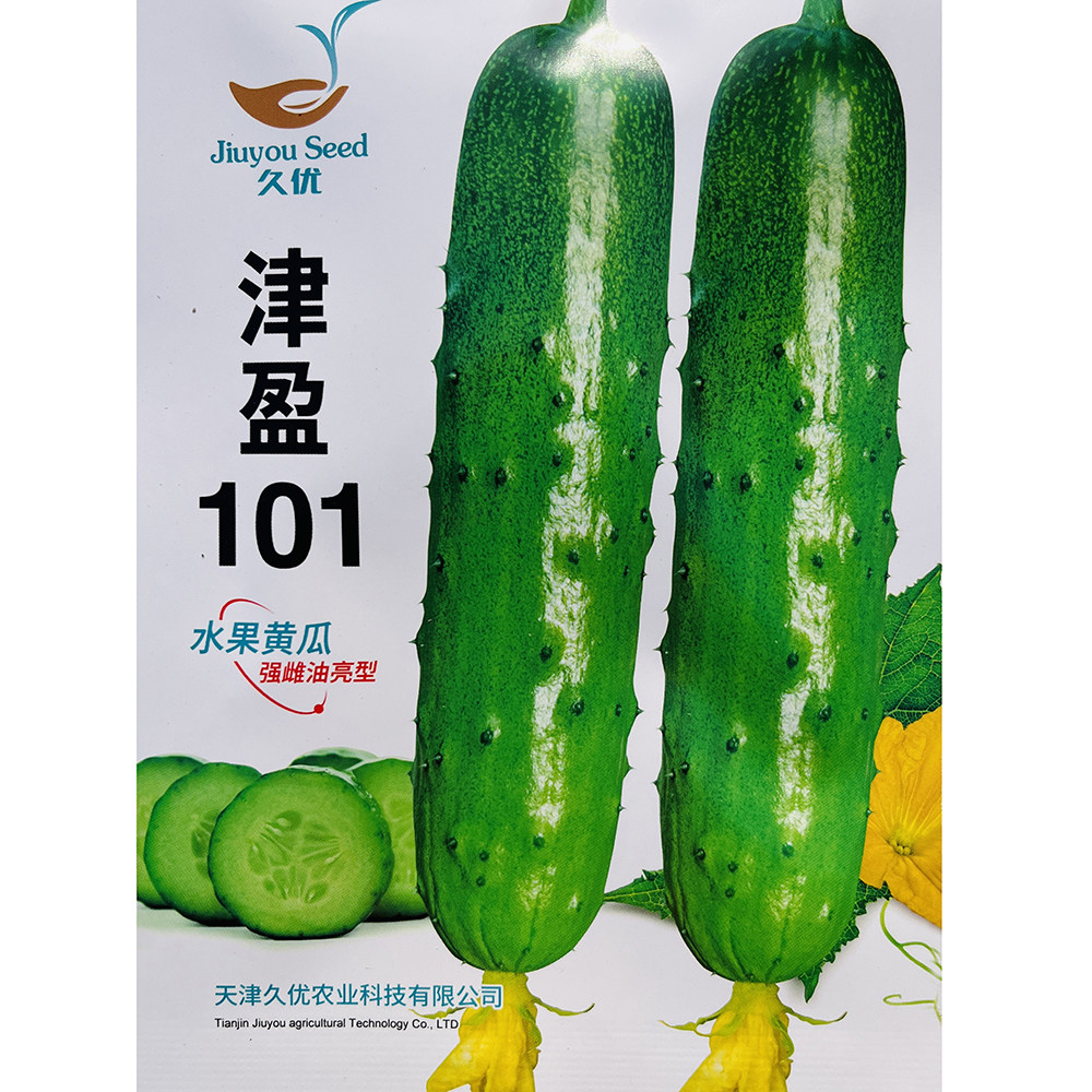 久优津盈101亮条黄瓜种子优质春秋棚种植强雌油亮抗病耐热黄瓜种