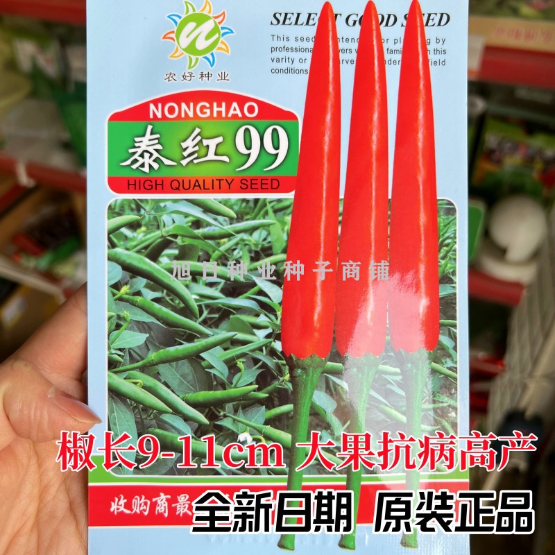 广西农号泰国引进大果耐热朝天椒