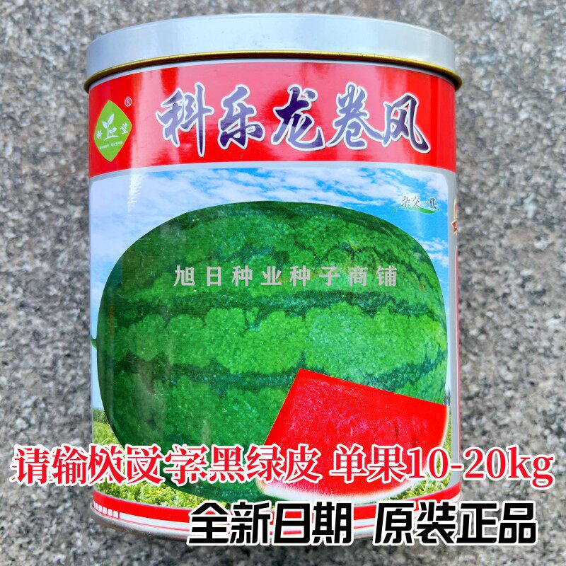 华萃龙卷风特大西瓜种子