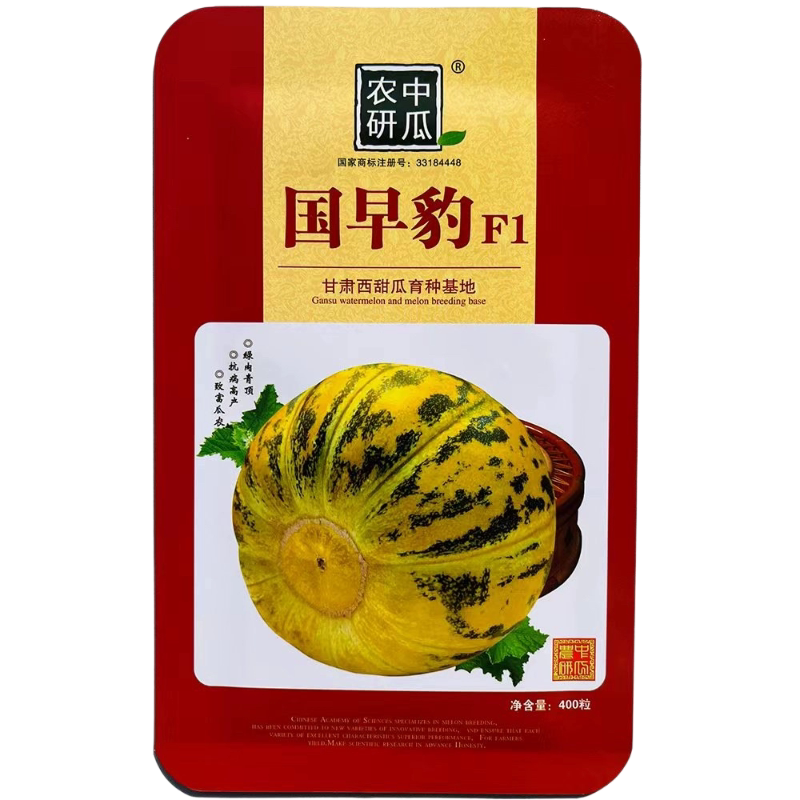中瓜农研豹点皇甜瓜种子早熟薄甜瓜高端豹花绿肉青顶干瓤香瓜种籽