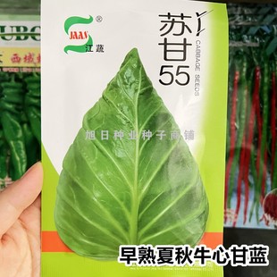 牛心甘藍種子種籽 包心菜籽 夏秋季 農家蔬菜種孑 蘇甘55包菜菜種
