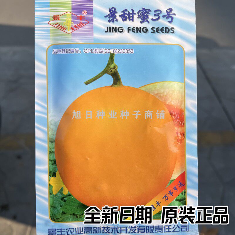 景甜蜜3号甜瓜种籽基地专用