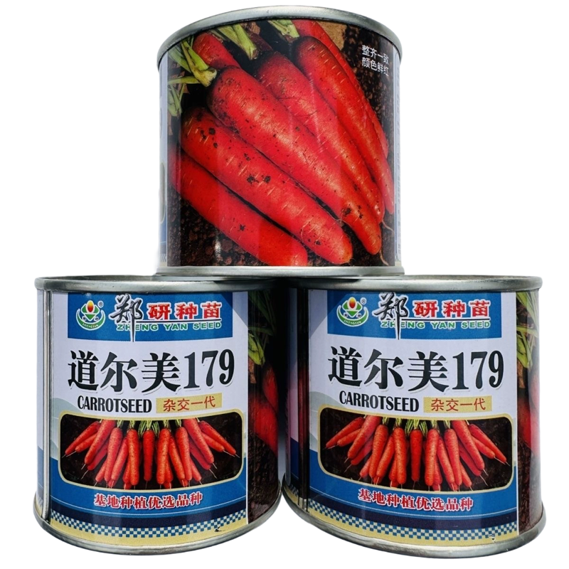郑研种苗道尔美179胡萝卜种子杂交一代品种皮肉芯三红胡萝卜种籽