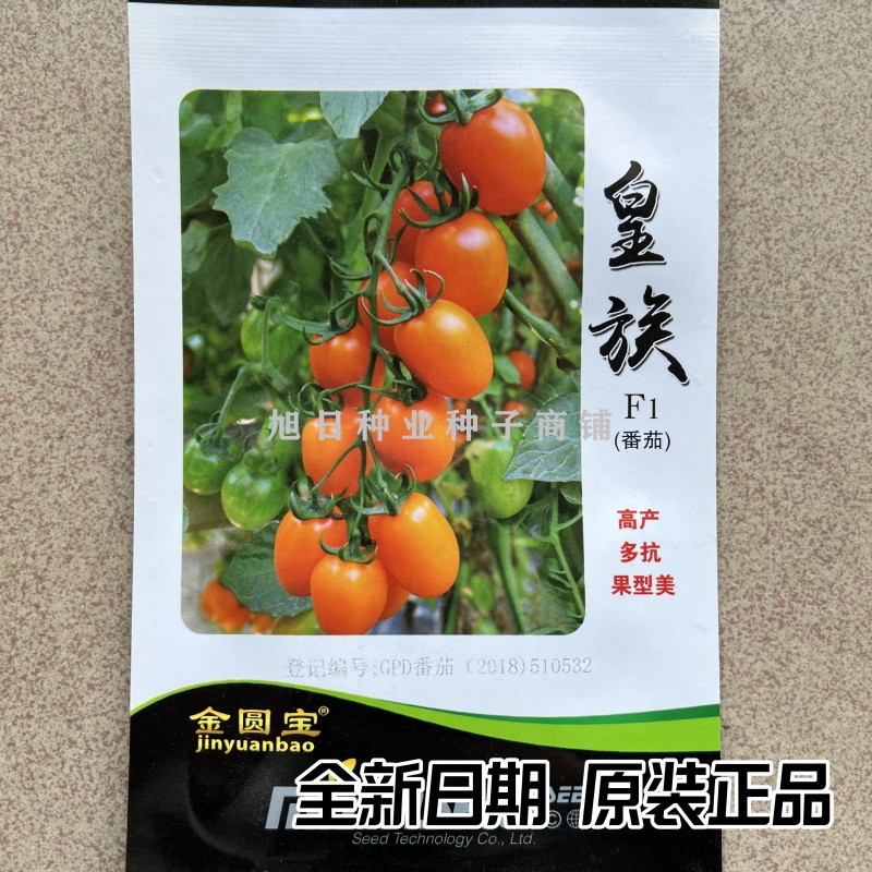 绵蔬金圆宝黄族小番茄种籽