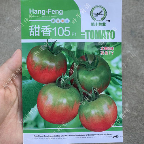 甜香105f1 水果草莓番茄种子铁皮柿子西红柿种籽早熟抗病春秋菜籽