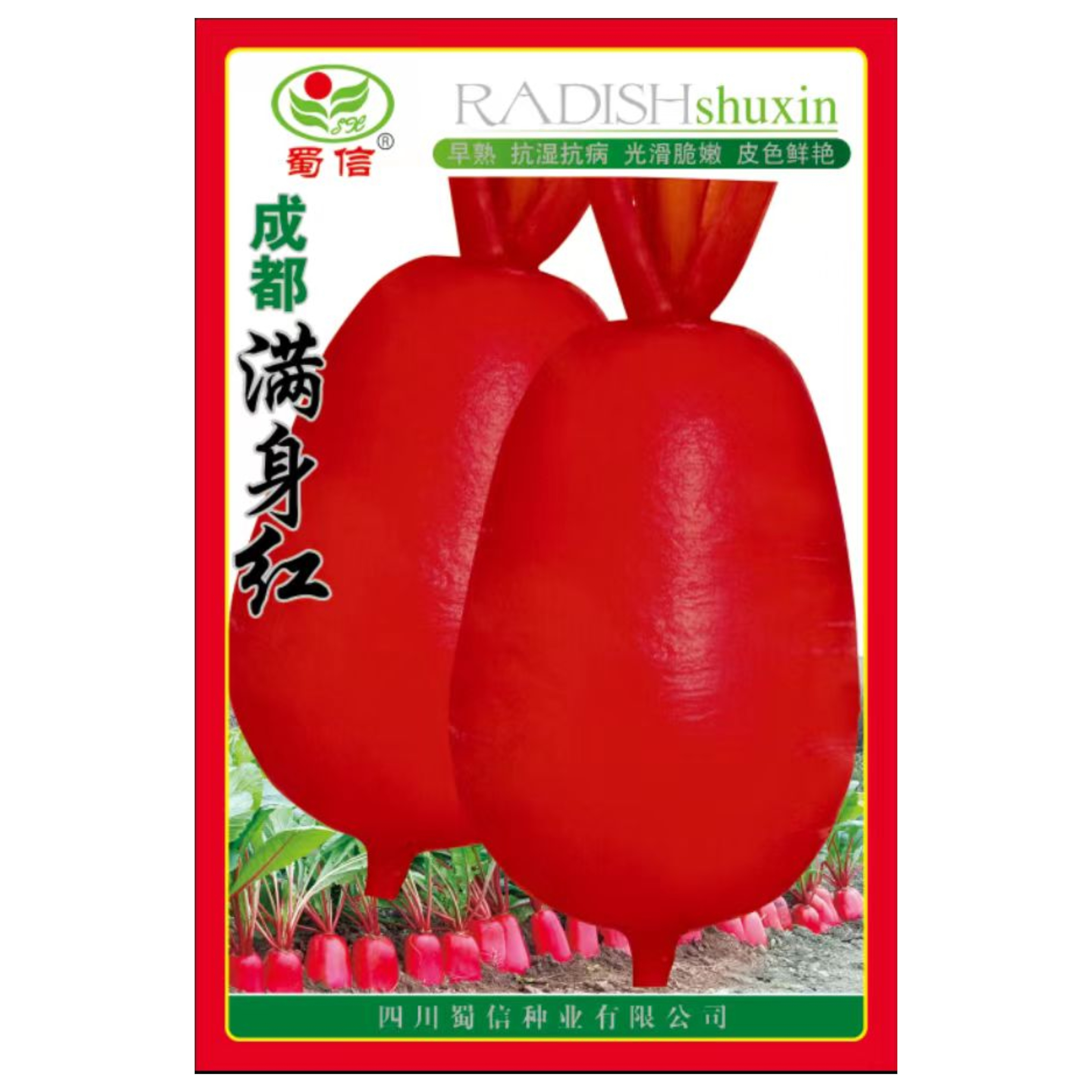 成都满身红萝卜种子红皮白肉耐高温早熟直筒型萝卜夏秋季蔬菜种籽
