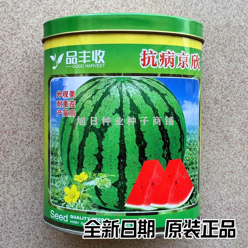 品丰收抗病京欣甜脆西瓜种子