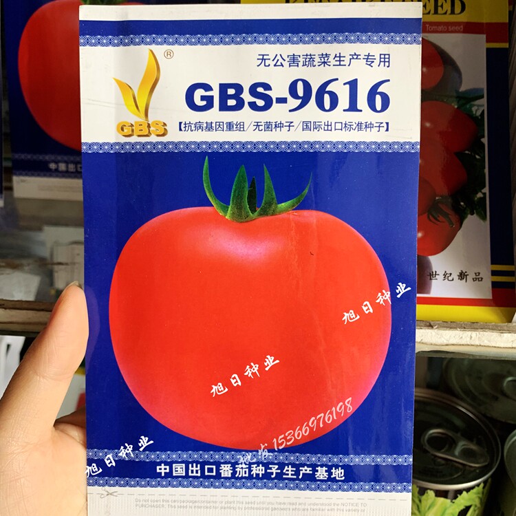 蔬菜进口番茄非转基因庭院种孑
