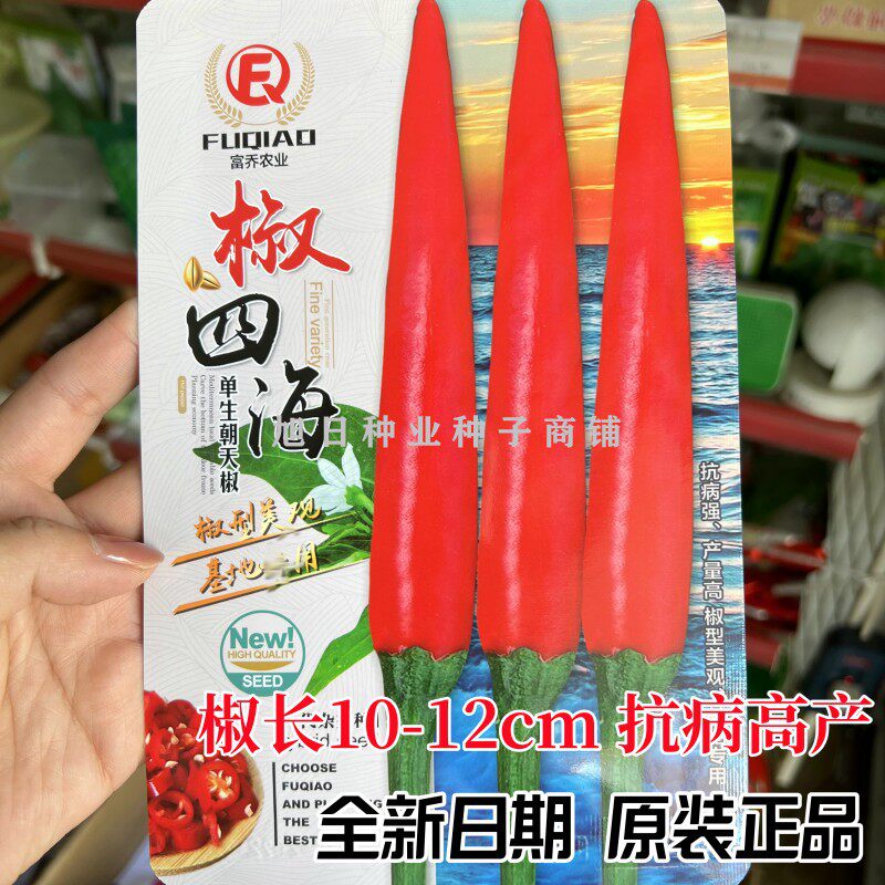 富乔椒四海南方专用耐高温朝天椒