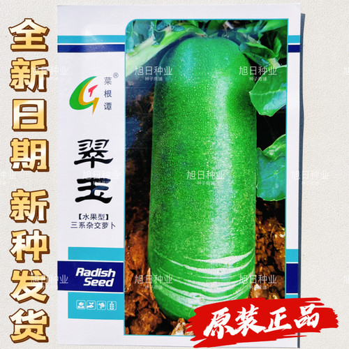 翠玉水果萝卜种子杂交一代早熟高产肉质脆甜香浓耐热耐寒春秋播种