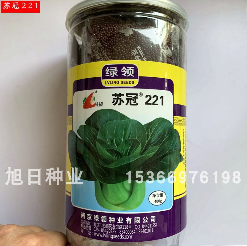 矮脚耐寒秋季越冬苏州青菜种籽