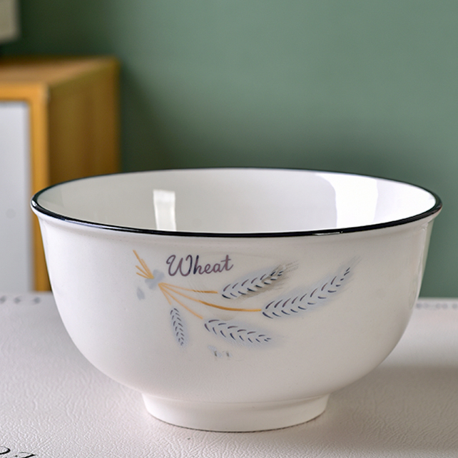 2025新款陶瓷面碗家用吃饭碗大号泡面碗加厚防烫大碗高颜值大汤碗