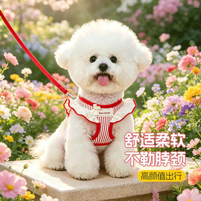 小狗狗牵引绳背心式小型