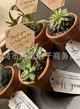 现货植物生长木质标签激光雕刻木片多肉字牌标识花卉木插牌