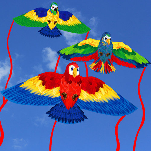 儿童风筝 鹦鹉风筝  卡通动物风筝 多彩长尾风筝 kite