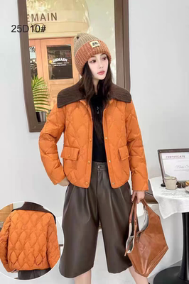 2026早秋新款韩版时尚翻领羽绒服女宽松显瘦百搭外套上衣网红潮流