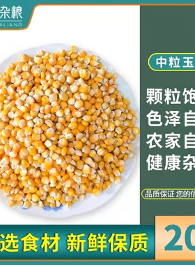 20斤装中粒玉米鸟食赛飞饲料信观赏鸽子粮比赛专用19省包邮