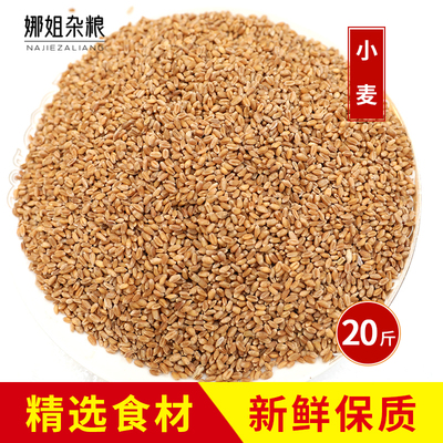 20斤农家新小麦磨面喂猫草喂鸽子