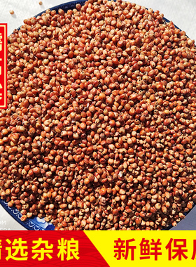 2025年糯红高粱20斤10公斤去壳带皮糯高粱去壳黏高粱