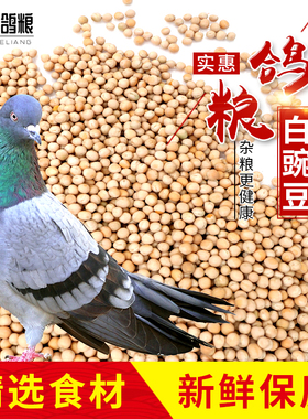 2025年新粮10斤5kg白豌豆生干豌豆喂鸽子发芽豌豆重庆小面原料