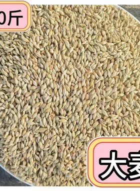 20斤带壳大麦农家大麦可发芽大麦大麦茶大麦酿酒喂鸽子等家禽粮食