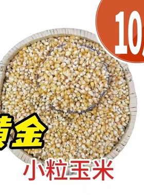 10斤装黄金小玉米鸟食赛飞饲料信观赏鸽子粮比赛专用19省包邮