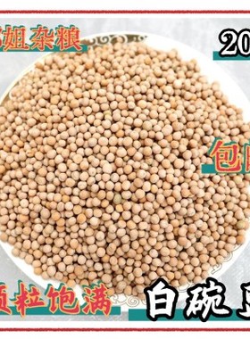 2025年新粮20斤白豌豆生干豌豆喂鸽子发芽豌豆重庆小面原料